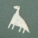 COUVERTURE BÉBÉ TRICOT DINOSAURE - DINO™ - tybloo